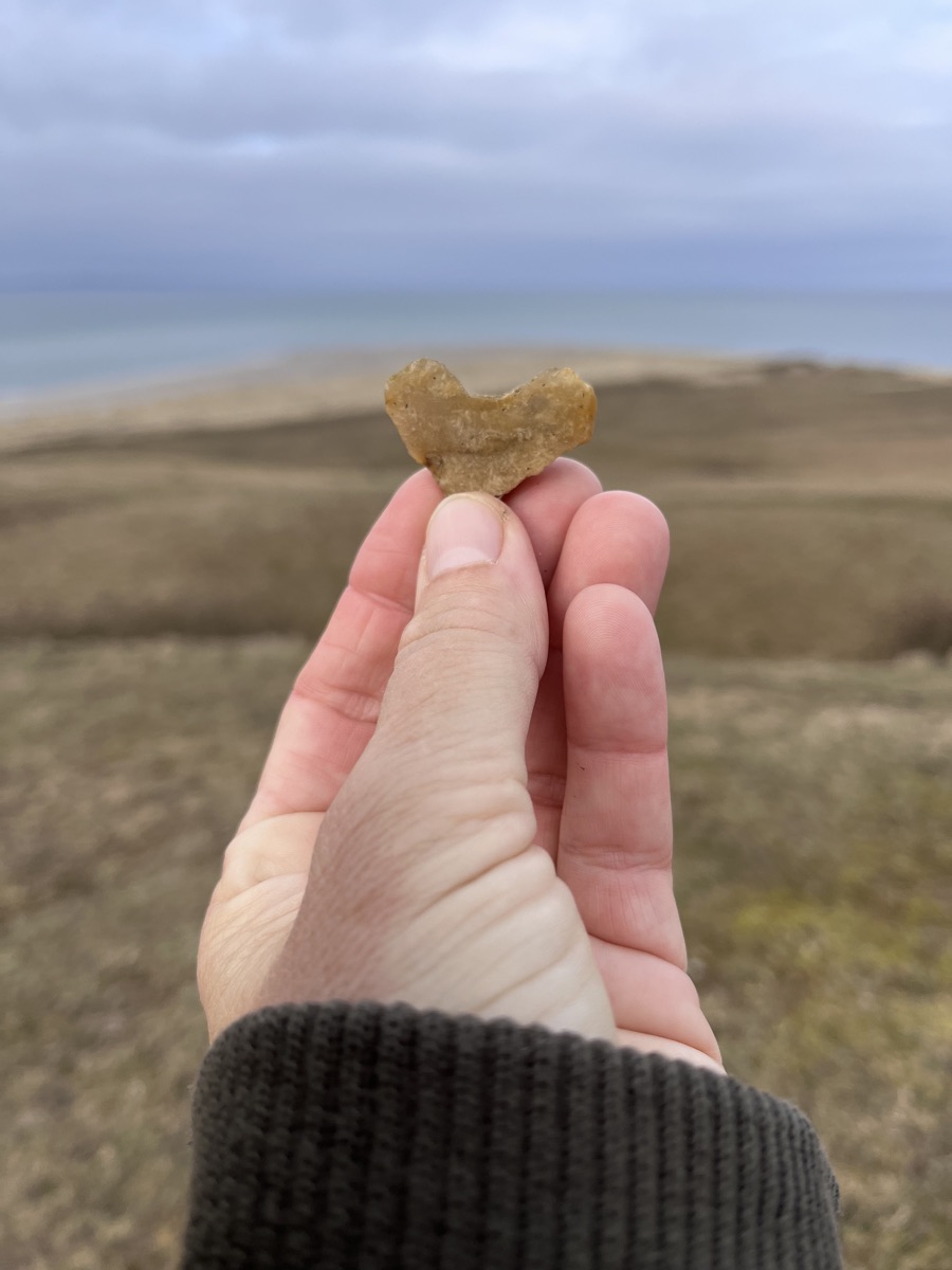 En hånd holder en hjerteformet sten foran havet